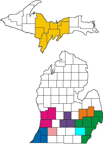 Image of Michigan colorcoded for rideshare viewing.